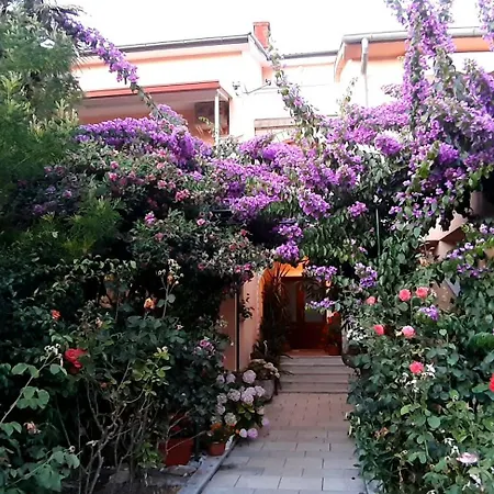 Apartmán Haus Sabina New Translation