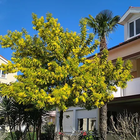 Διαμέρισμα Haus Sabina Palit