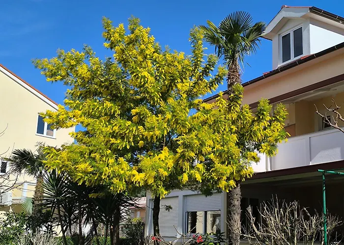 公寓 Haus Sabina Palit