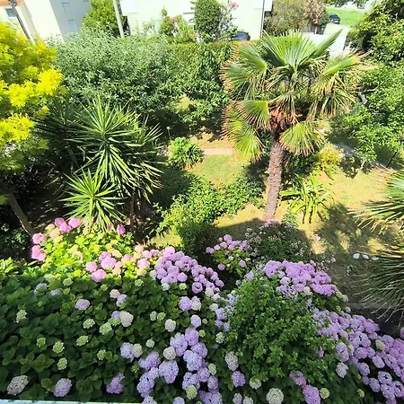 Apartment Haus Sabina Palit