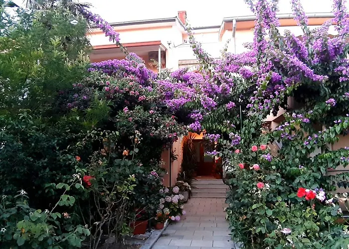 Apartament Haus Sabina Palit